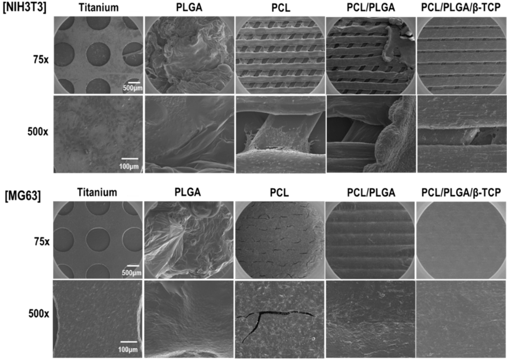 Polymers 07 01500 g010 1024