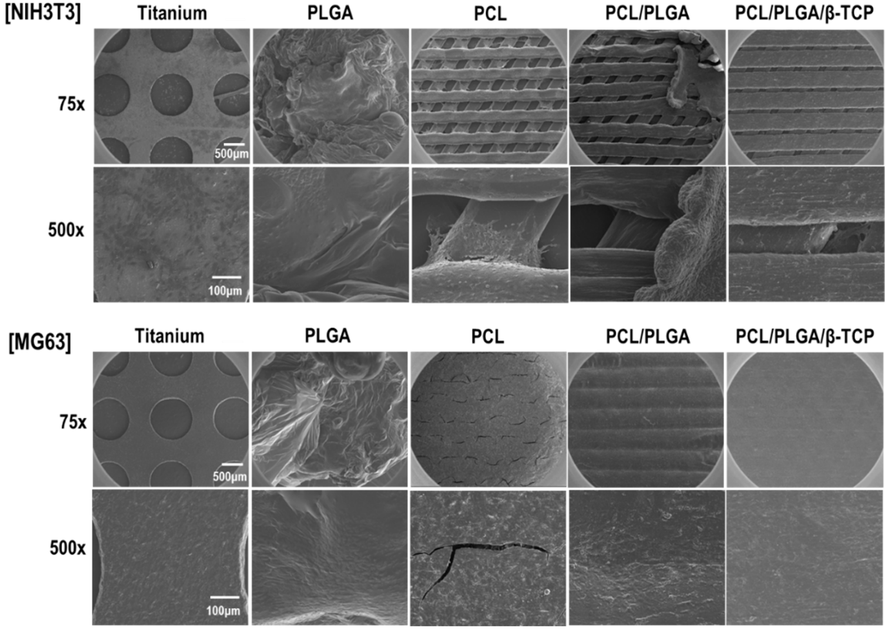 Polymers 07 01500 g010