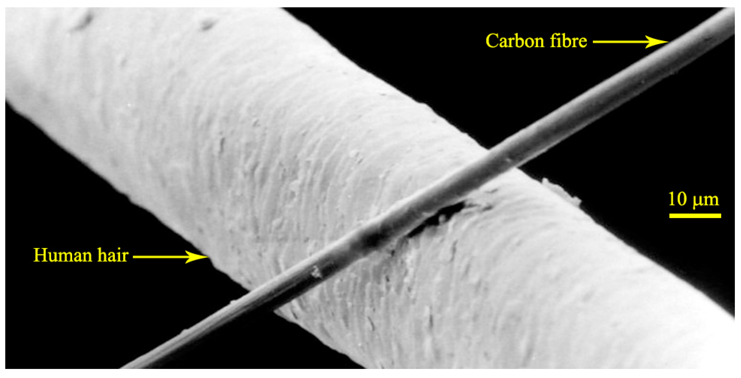 Polymers 07 01501 g003
