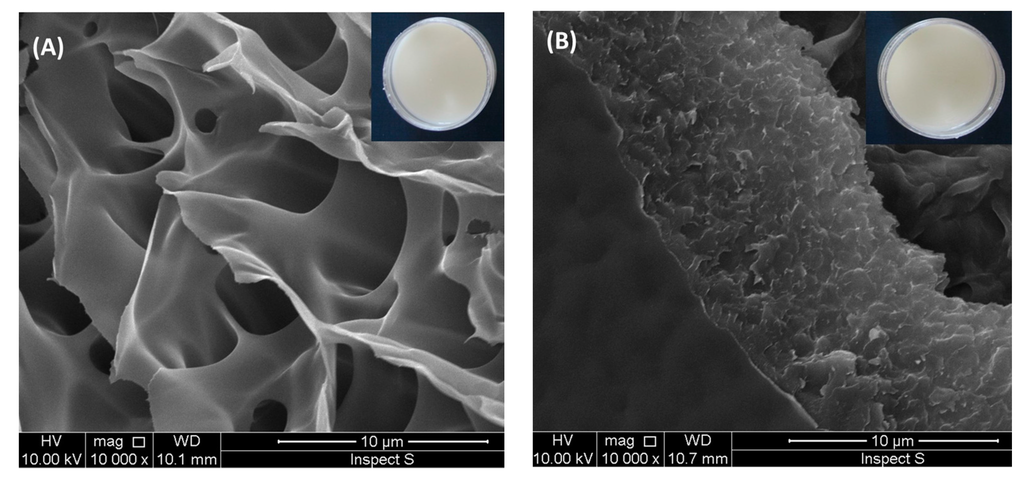 Polymers 07 01510 g002 1024