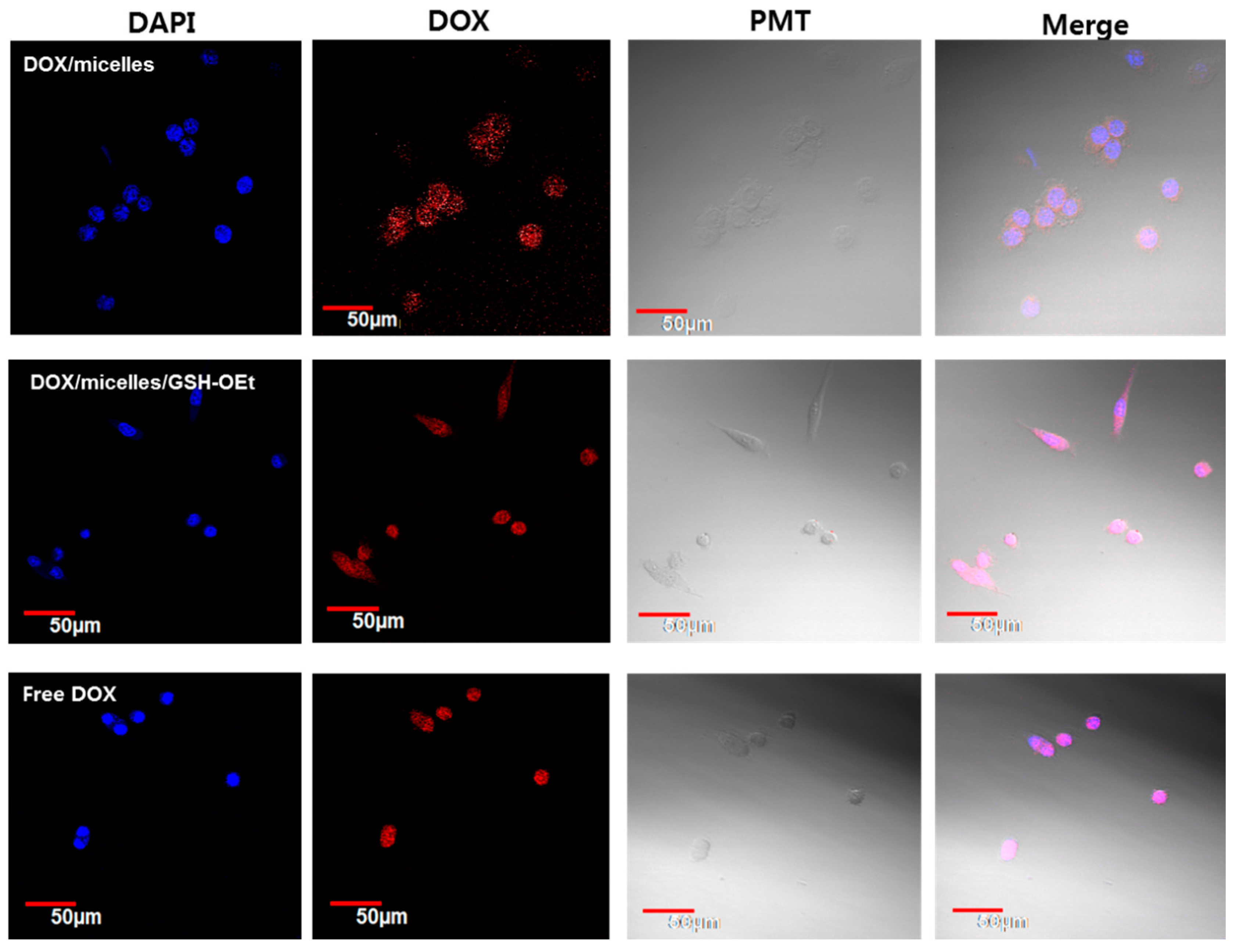Polymers 07 01511 g009