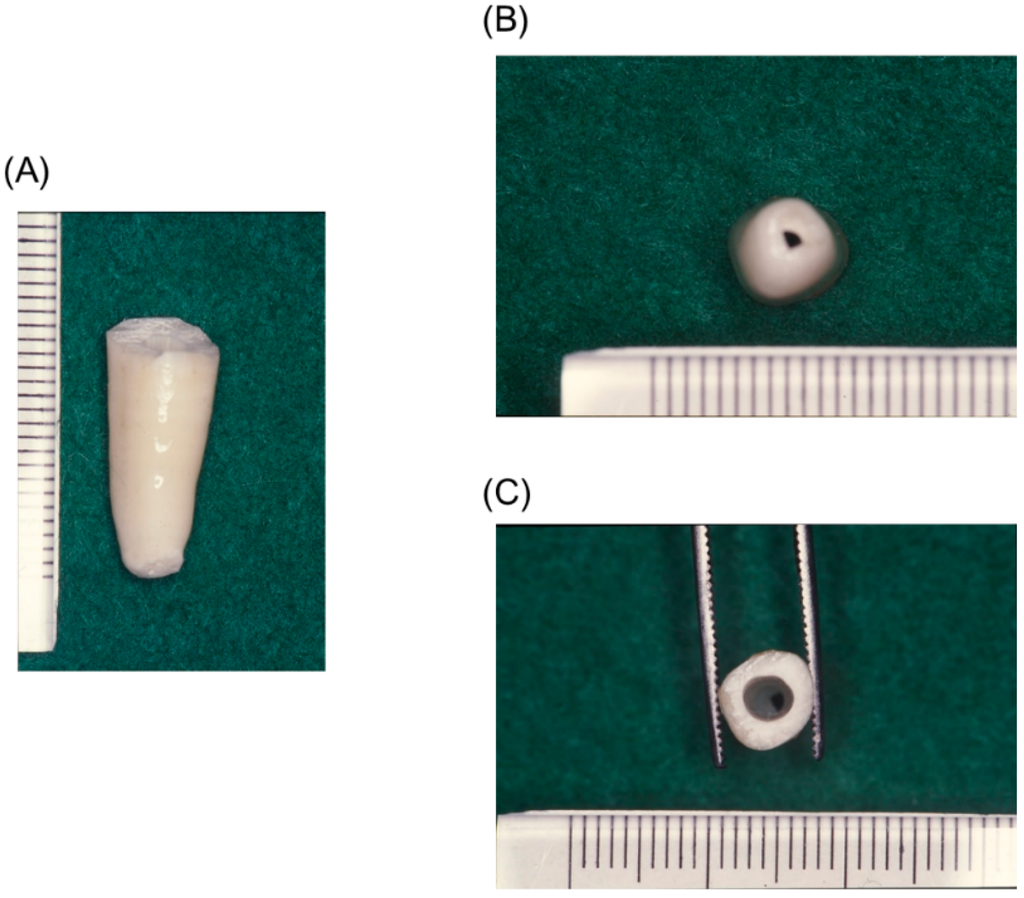 Polymers 07 01512 g005 1024