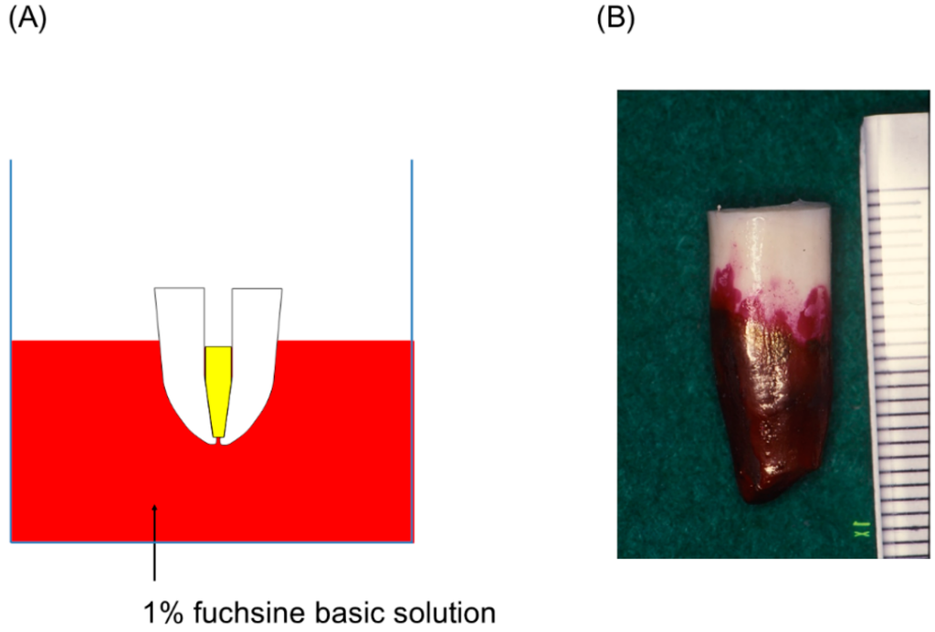 Polymers 07 01512 g007 1024
