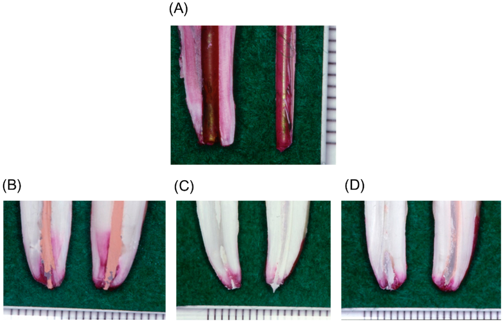 Polymers 07 01512 g014 1024