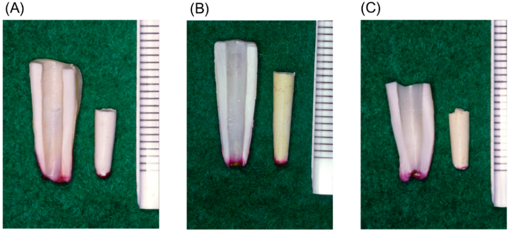 Polymers 07 01512 g015 1024