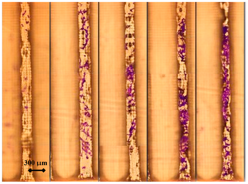 Polymers 07 01519 g002 1024