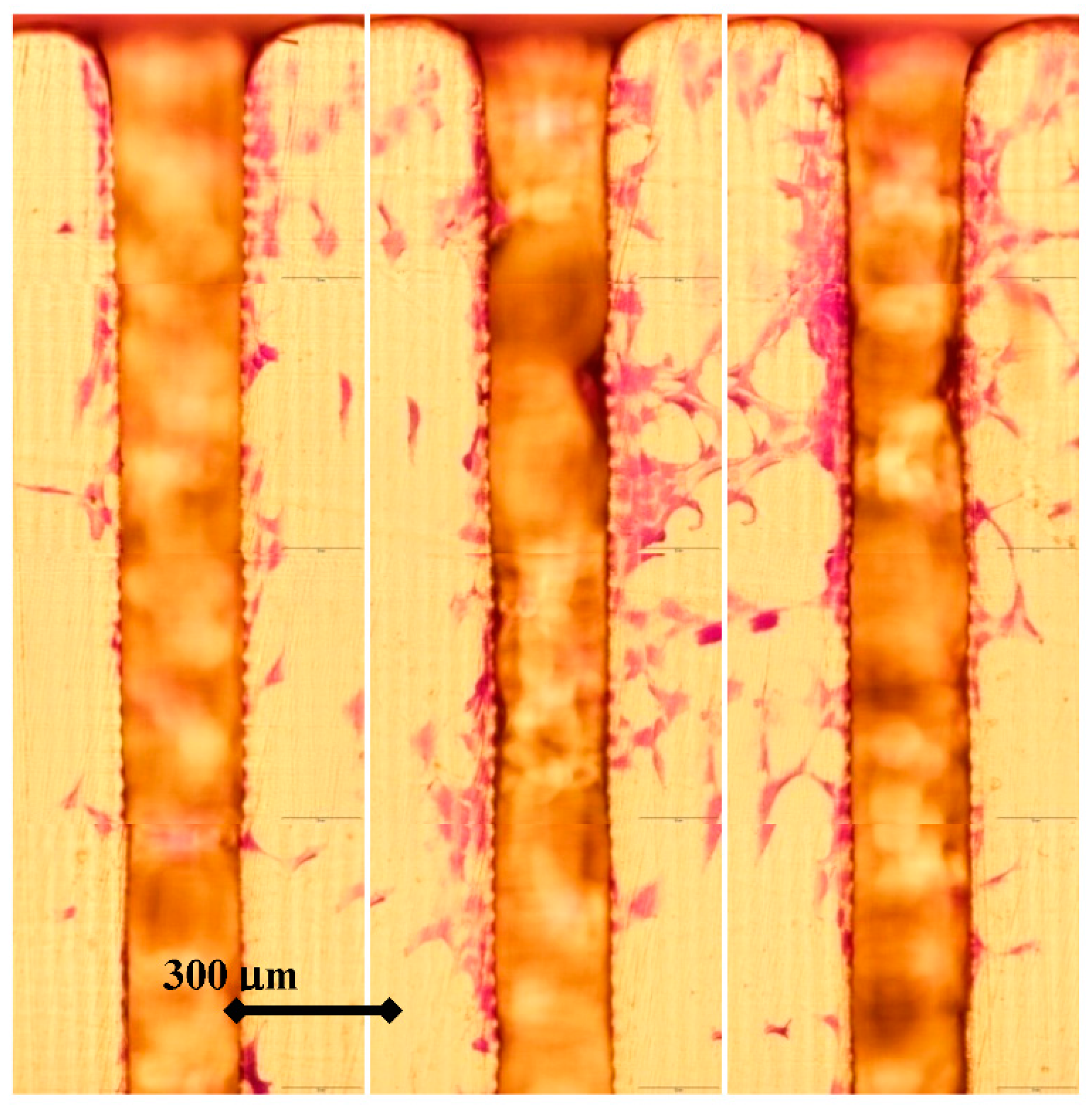 Polymers 07 01519 g005