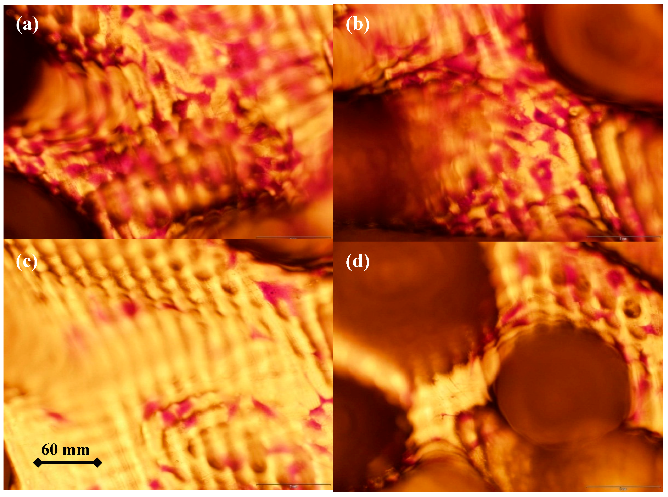 Polymers 07 01519 g006