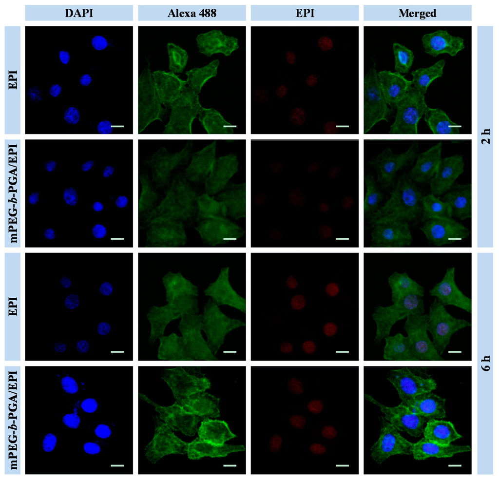 Polymers 07 01521 g004 1024