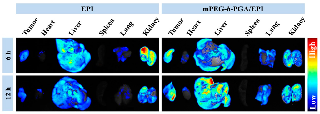 Polymers 07 01521 g008 1024