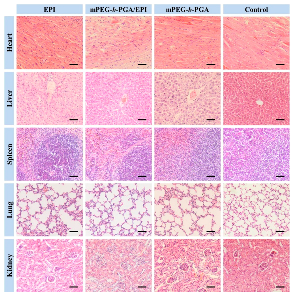 Polymers 07 01521 g014 1024