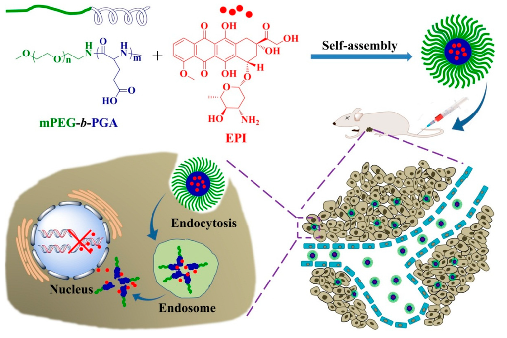 Polymers 07 01521 g015 1024