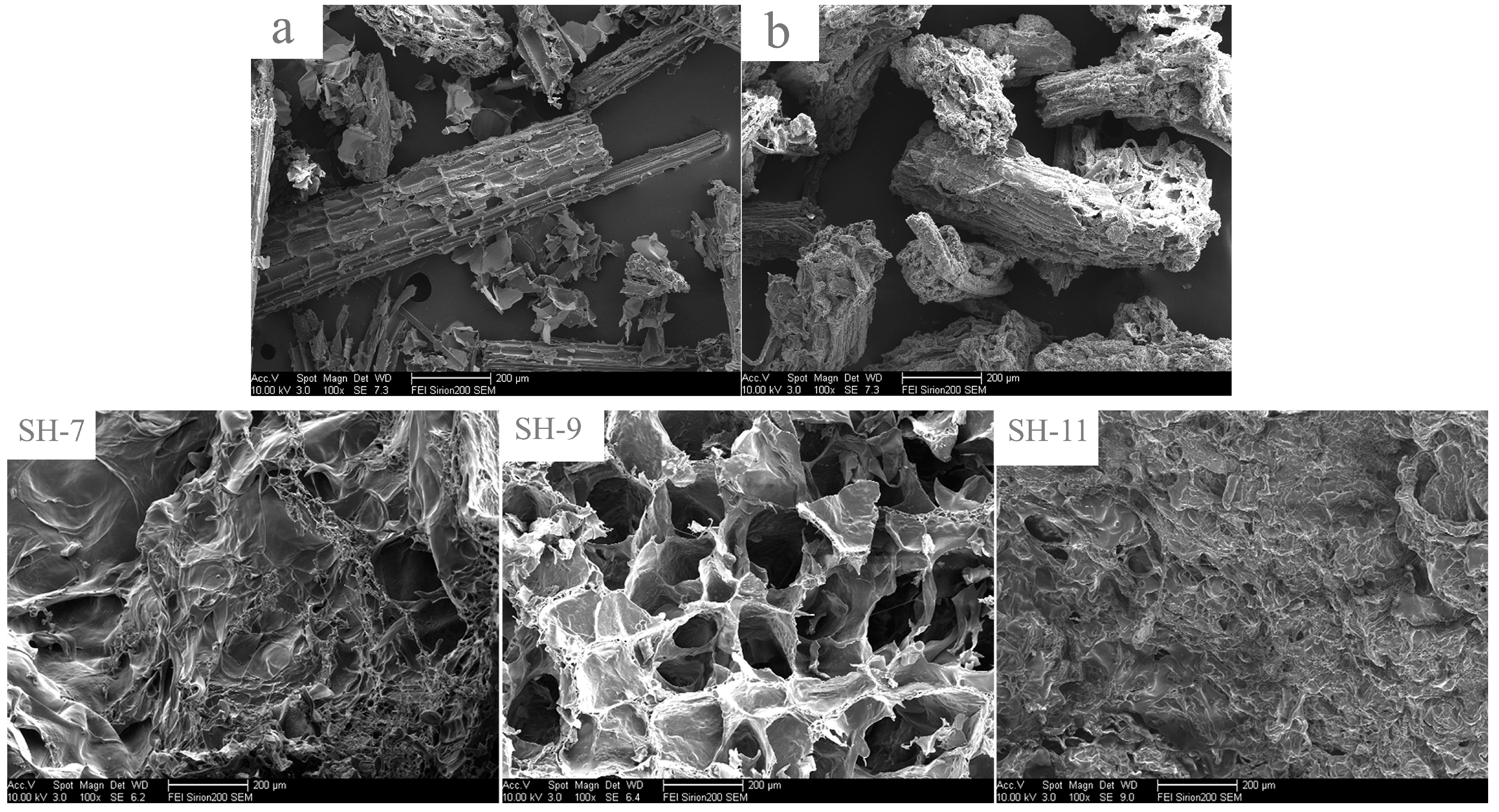 Polymers 07 01522 g006