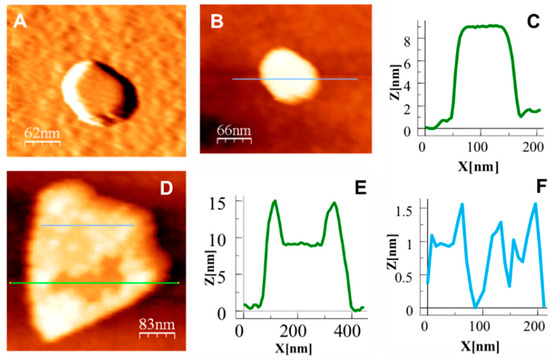 Polymers 08 00005 g005 550