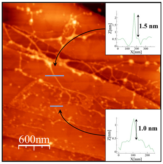 Polymers 08 00005 g006 550