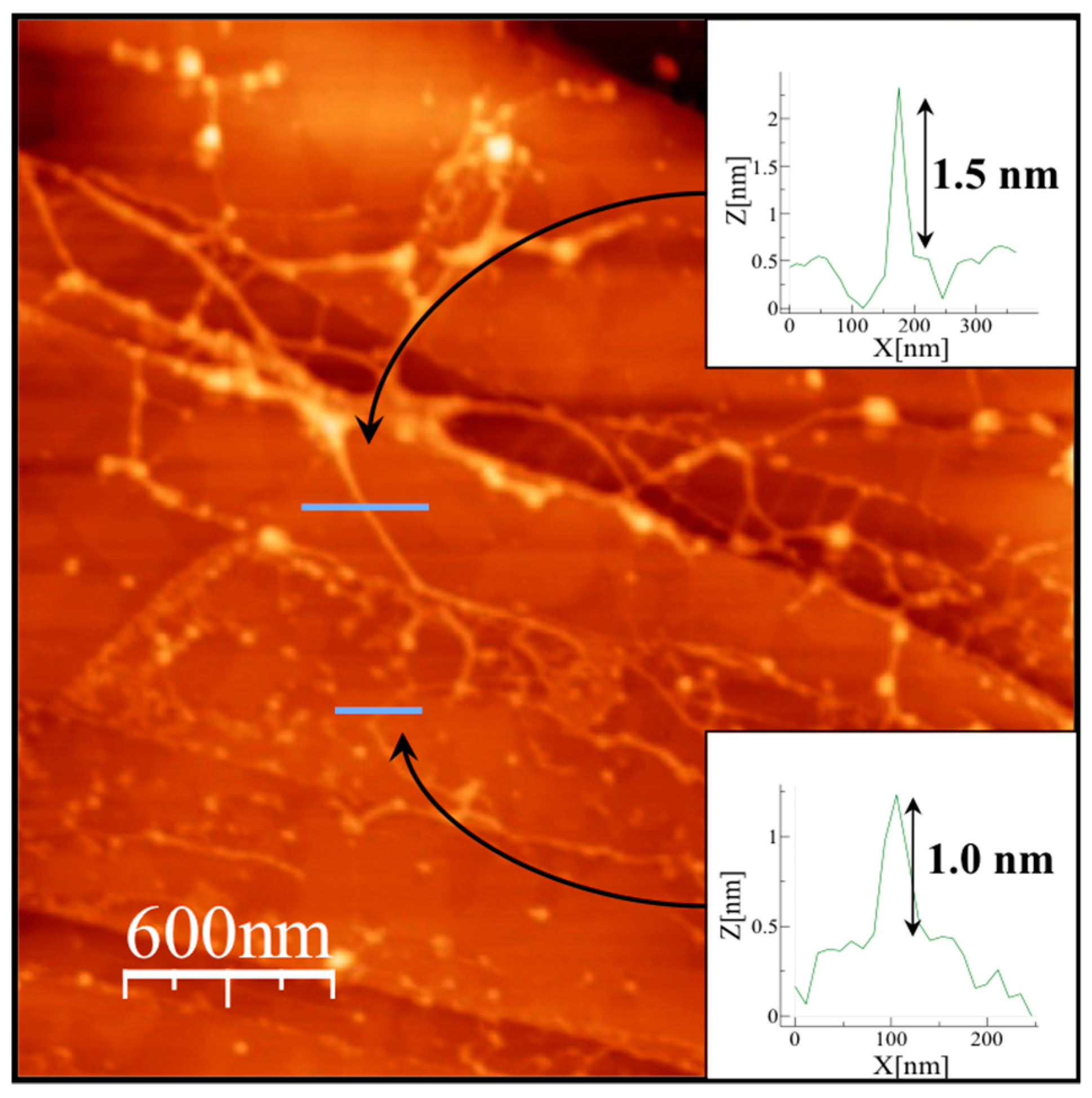 Polymers 08 00005 g006