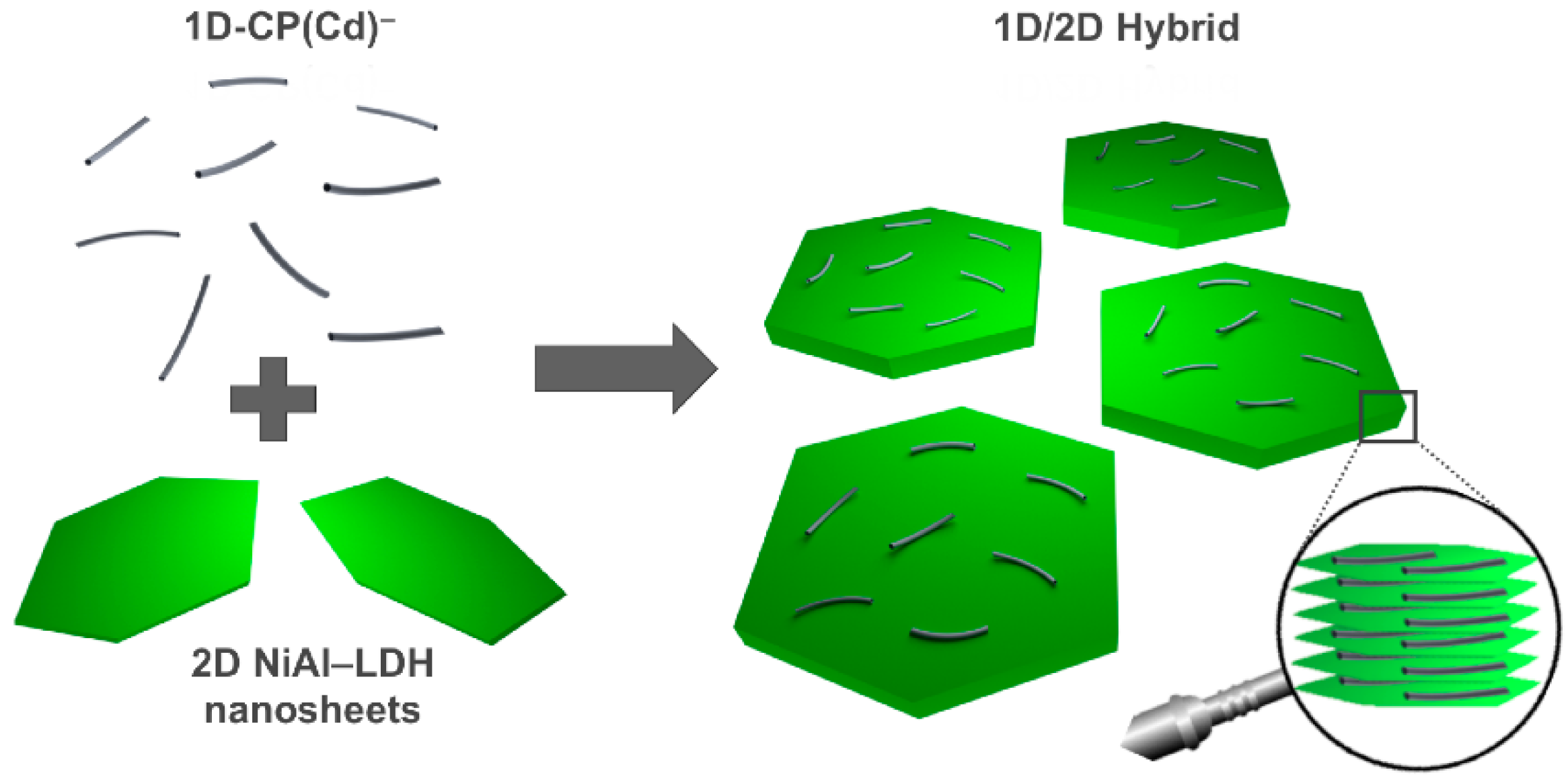 Polymers 08 00005 g008