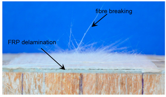 Polymers 08 00018 g010 550