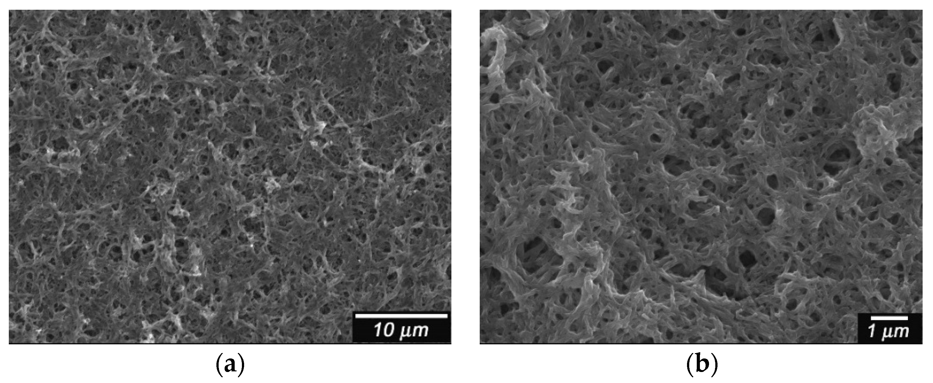 Polymers 08 00034 g003