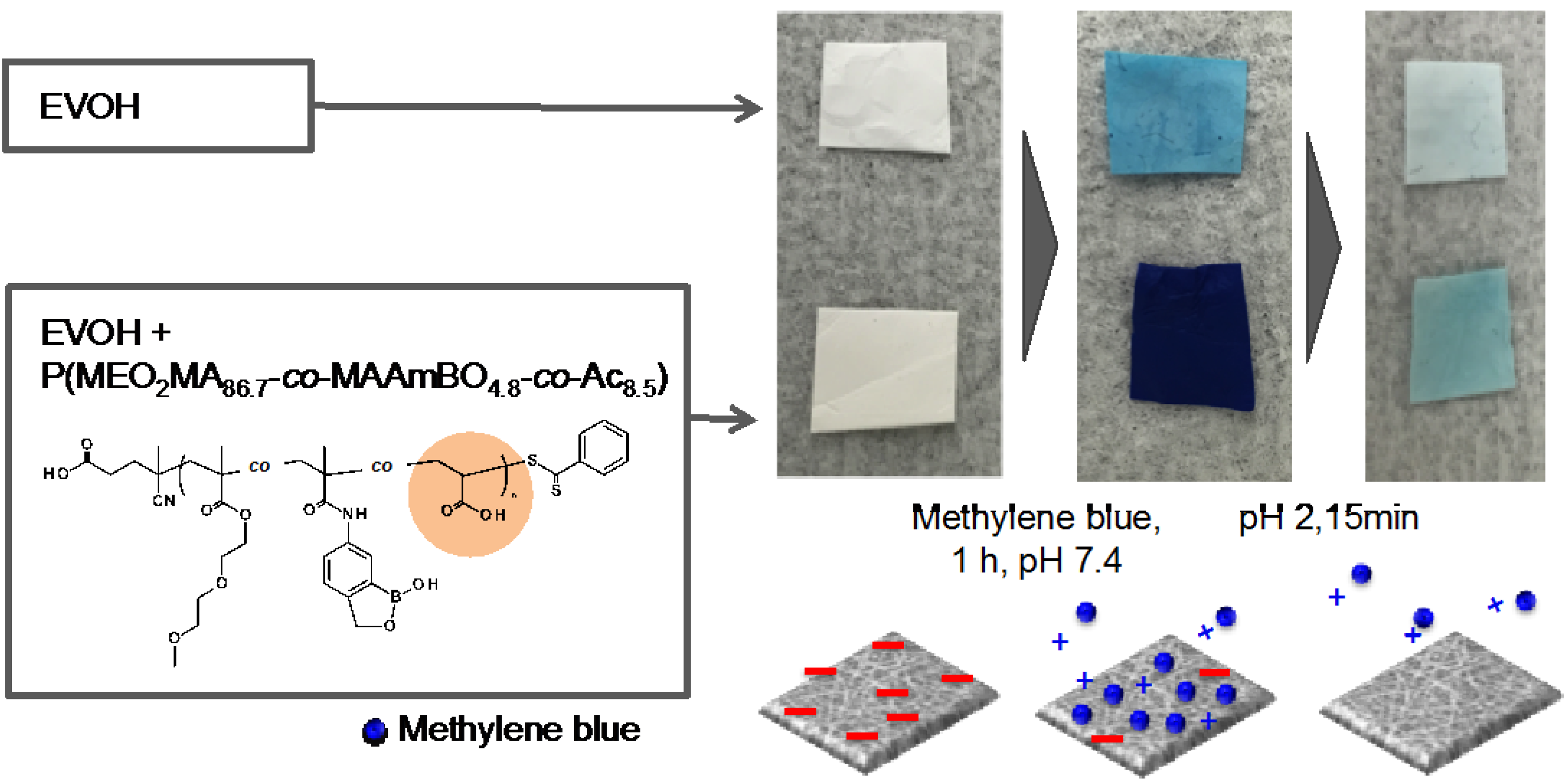 Polymers 08 00041 g006