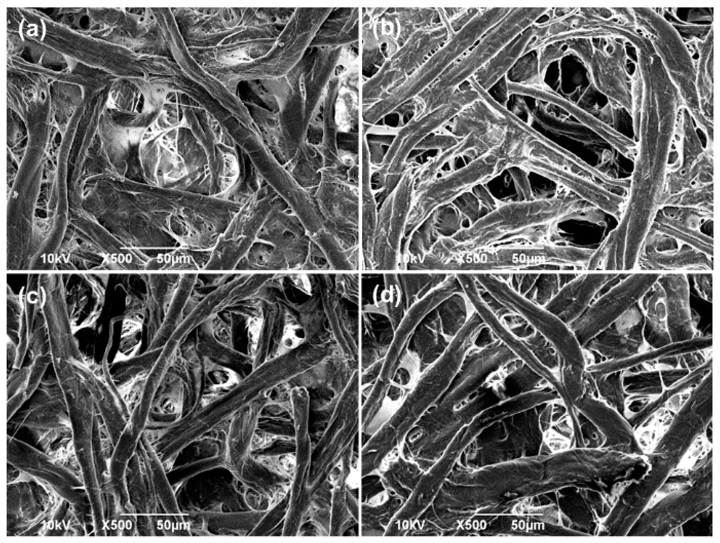 Polymers 08 00052 g003