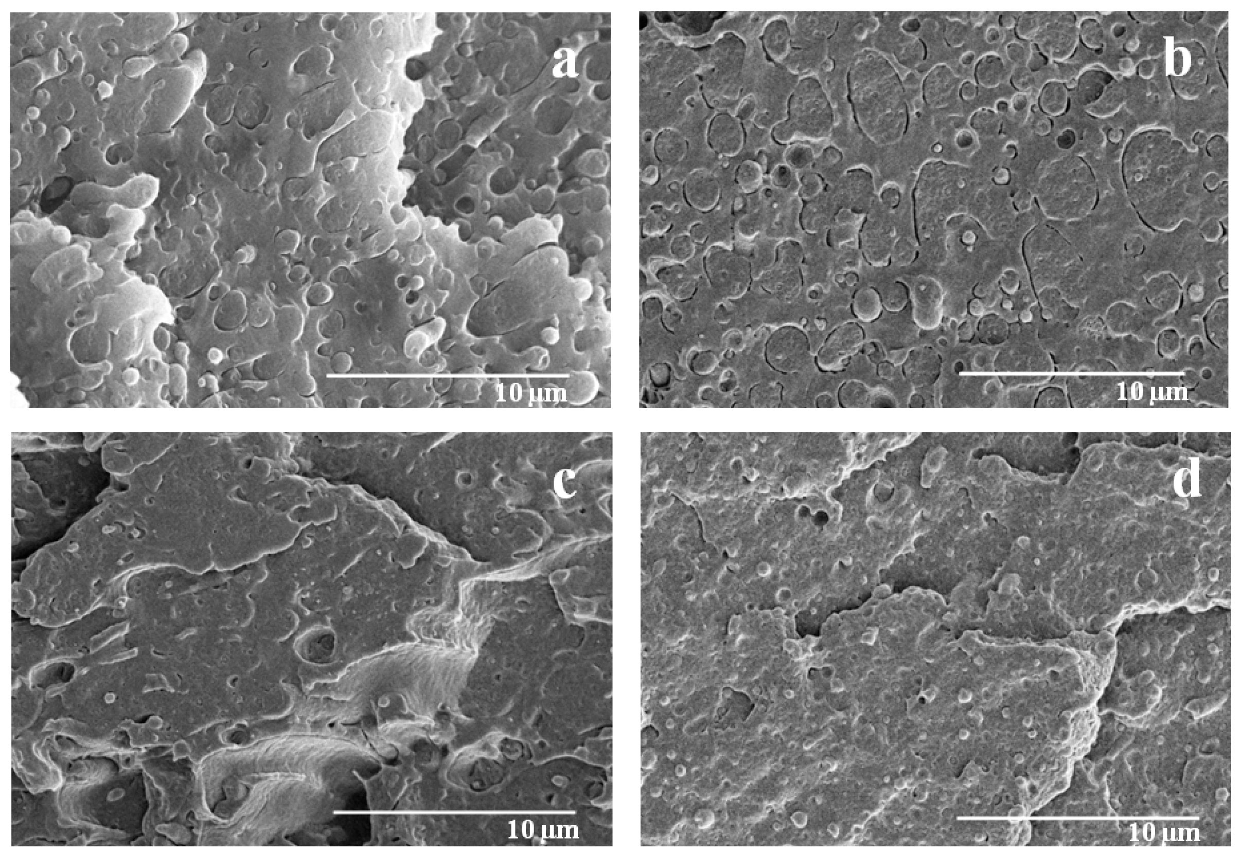 Polymers 08 00061 g006