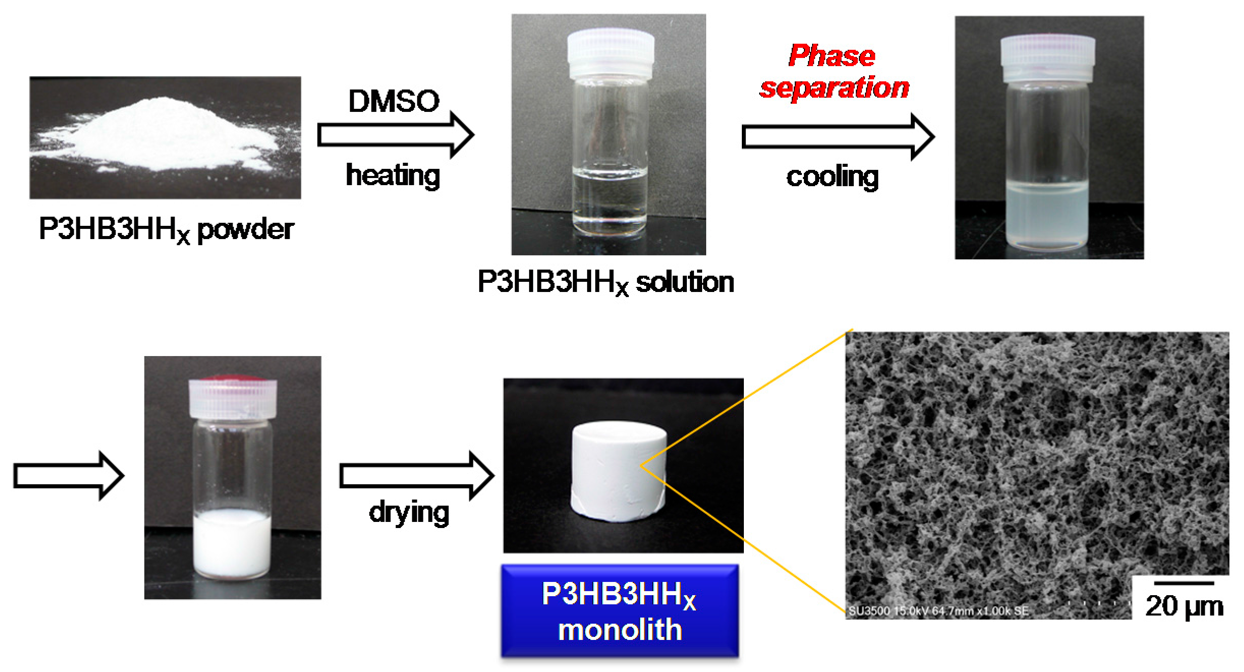 Polymers 08 00066 g001