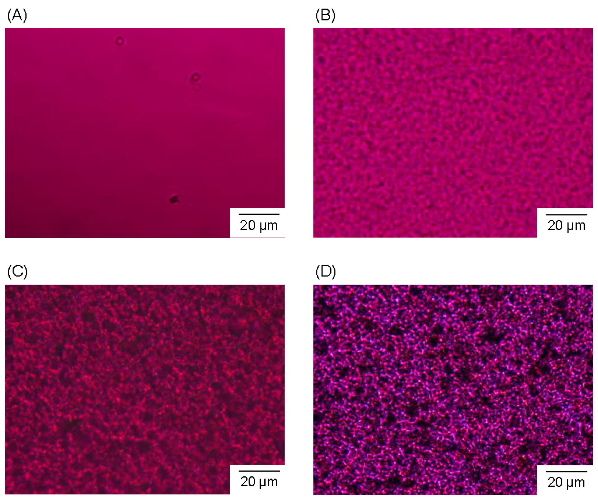 Polymers 08 00066 g006
