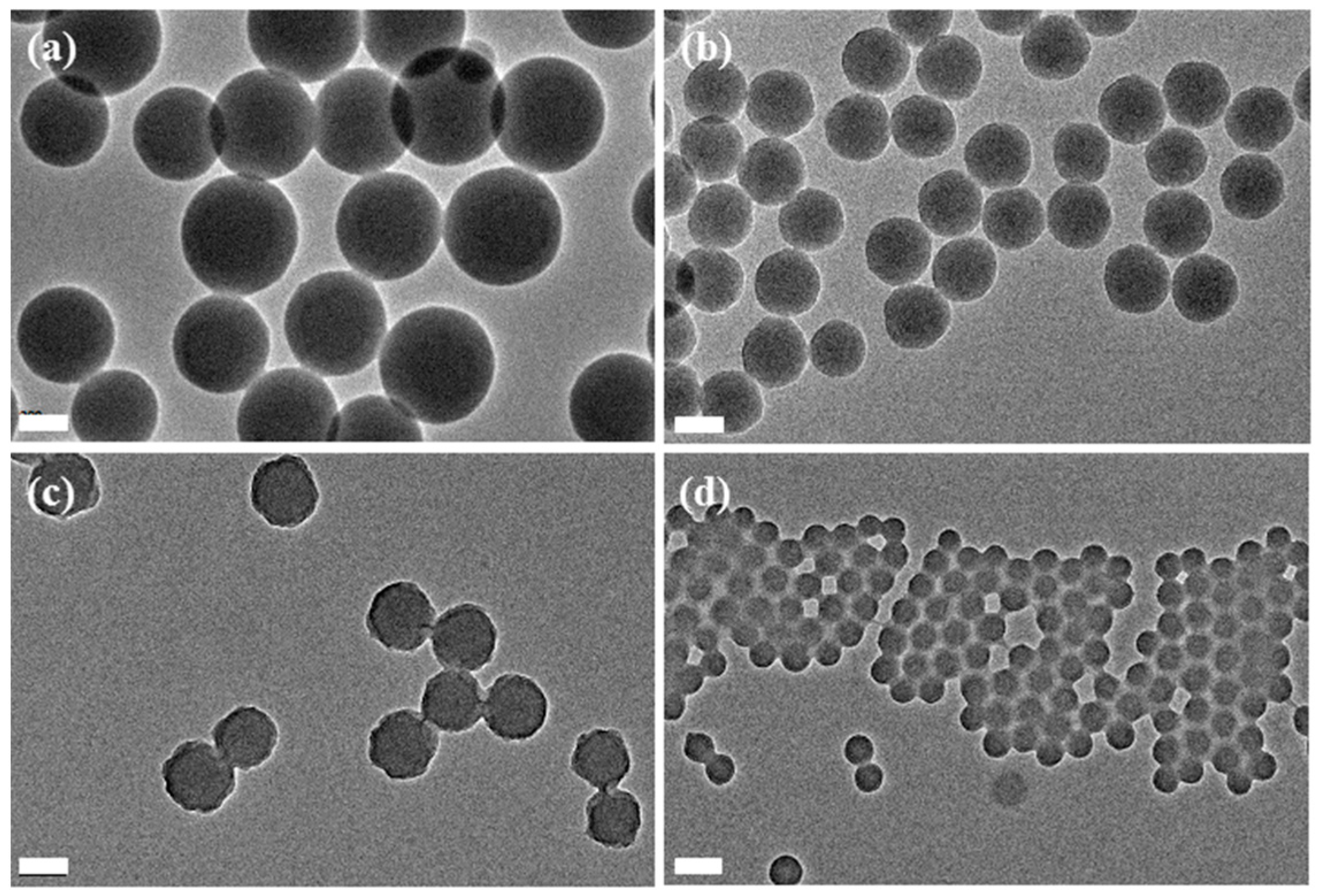 Polymers 08 00074 g002
