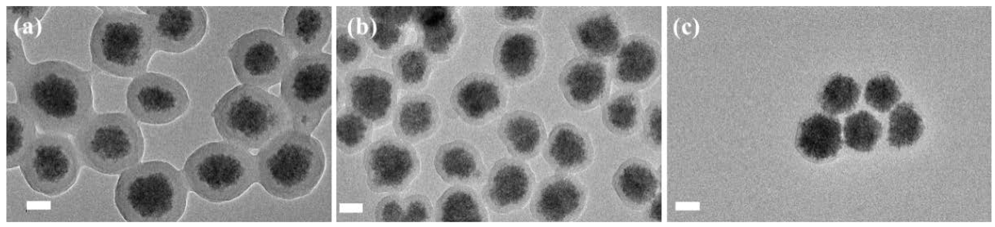 Polymers 08 00074 g006