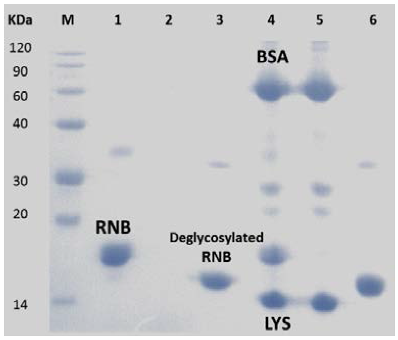 Polymers 08 00074 g007