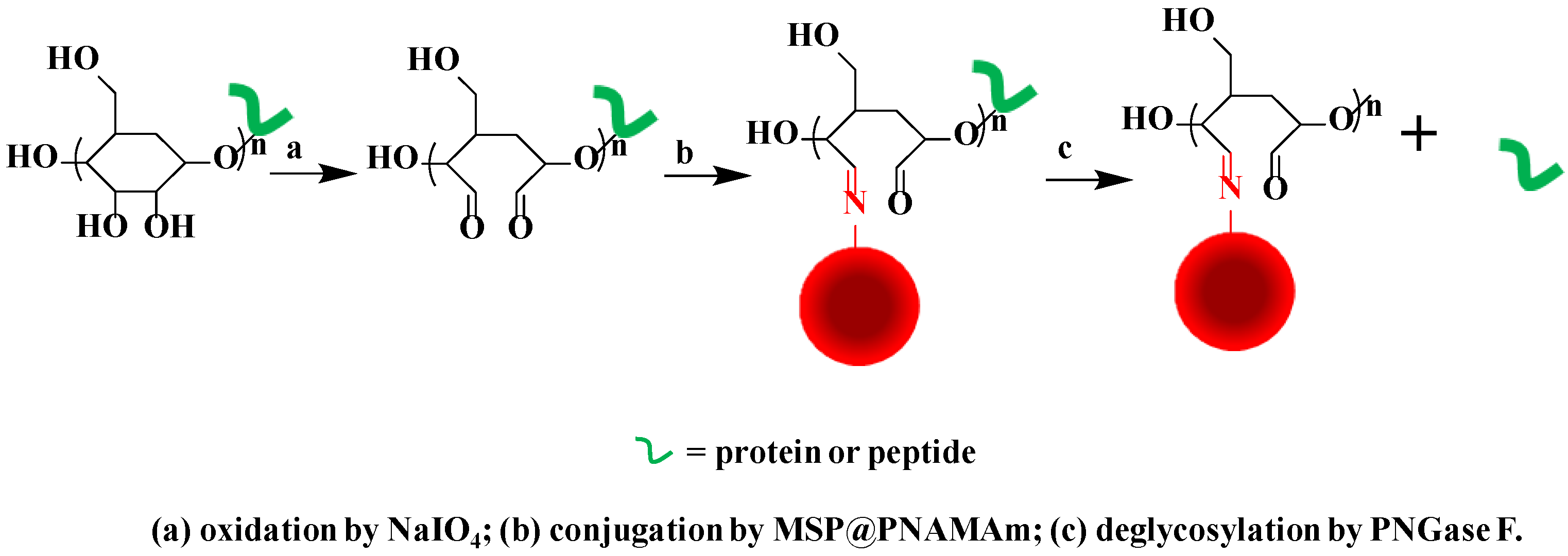 Polymers 08 00074 g011