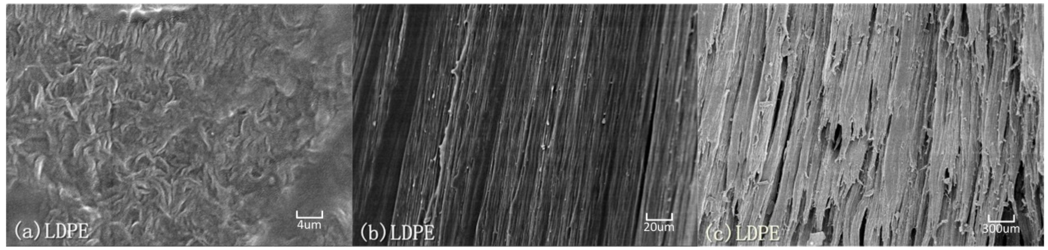Polymers 08 00077 g008
