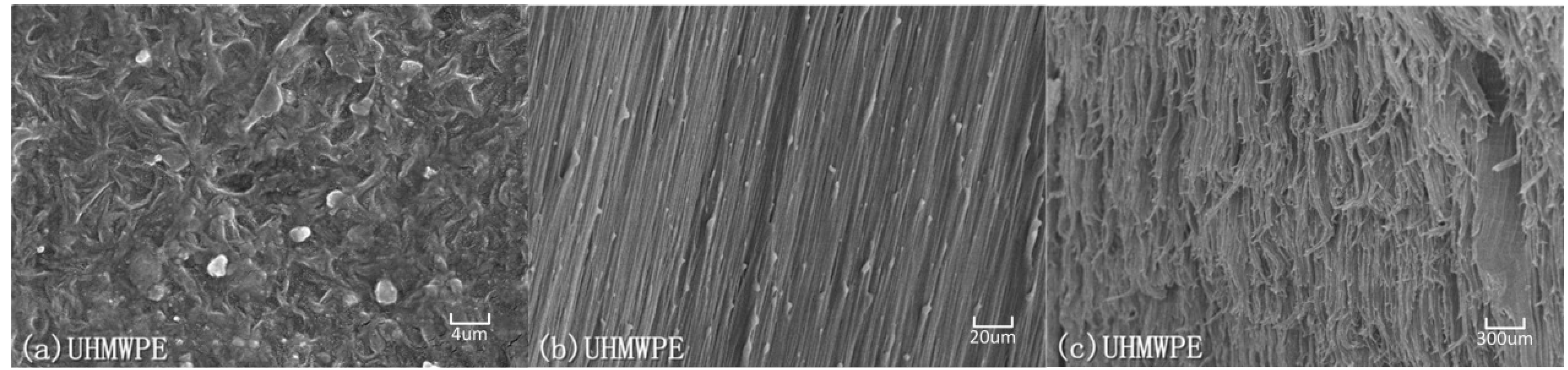 Polymers 08 00077 g009