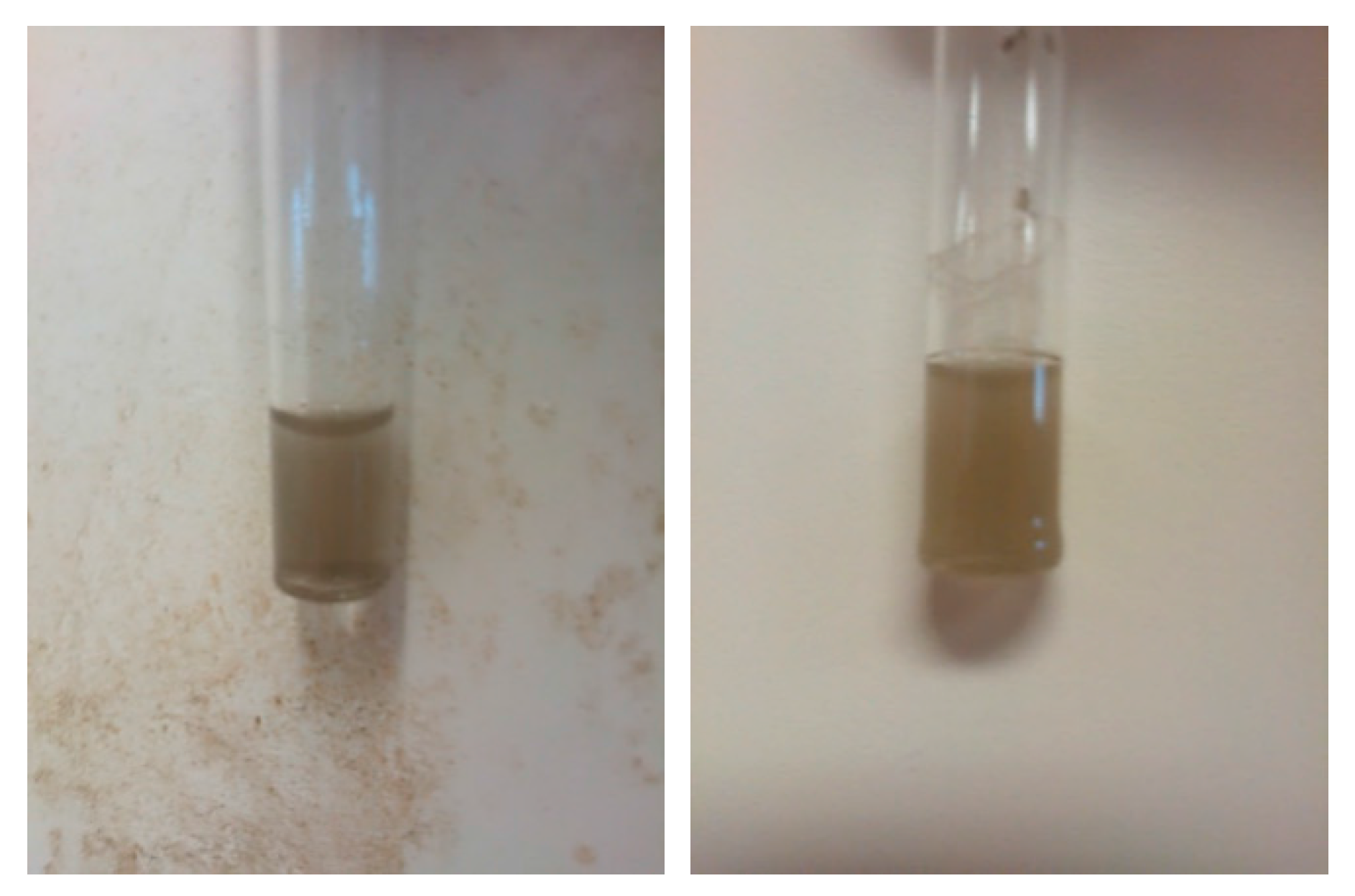 Polymers 08 00081 g005