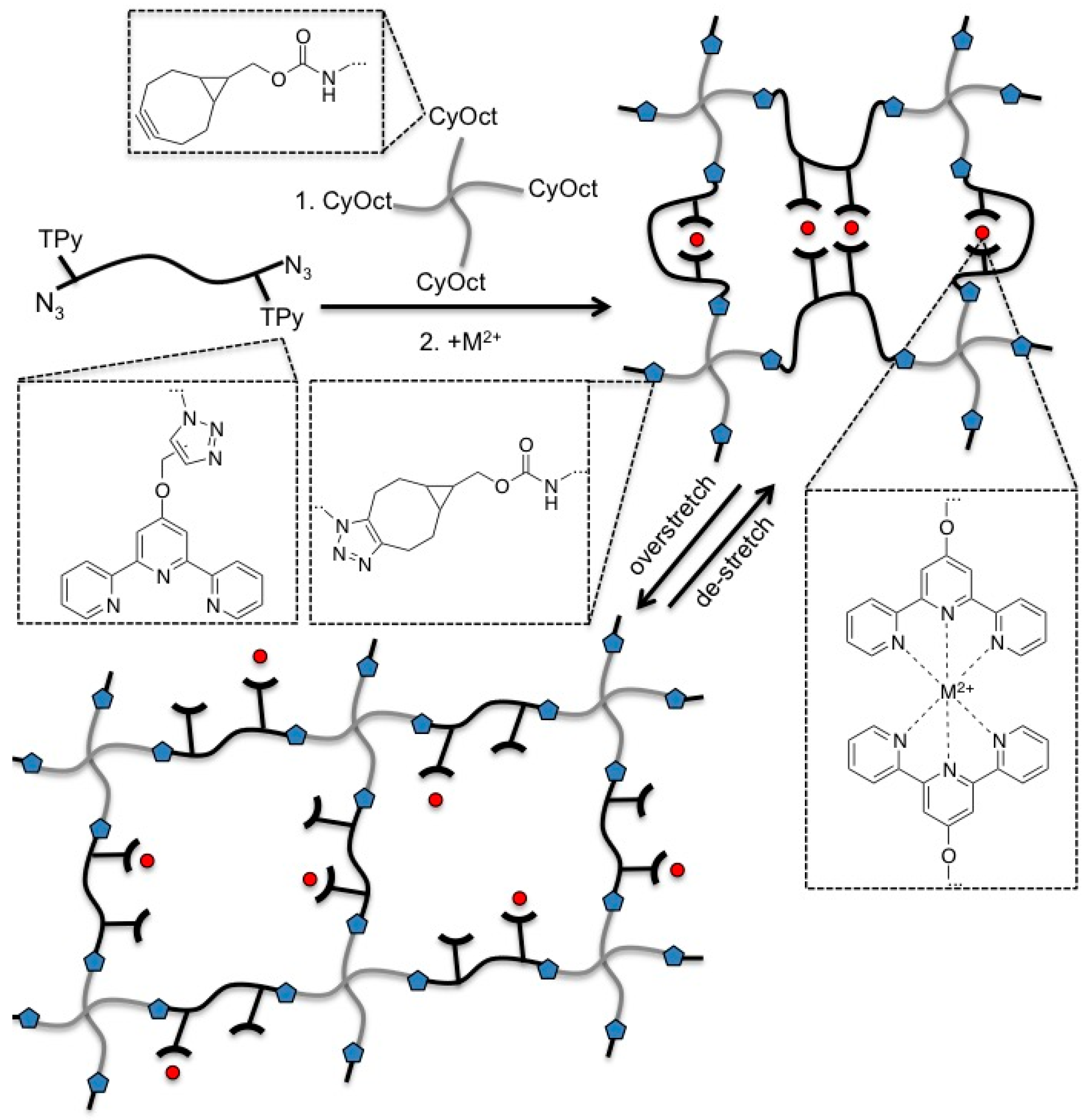 Polymers 08 00082 g001