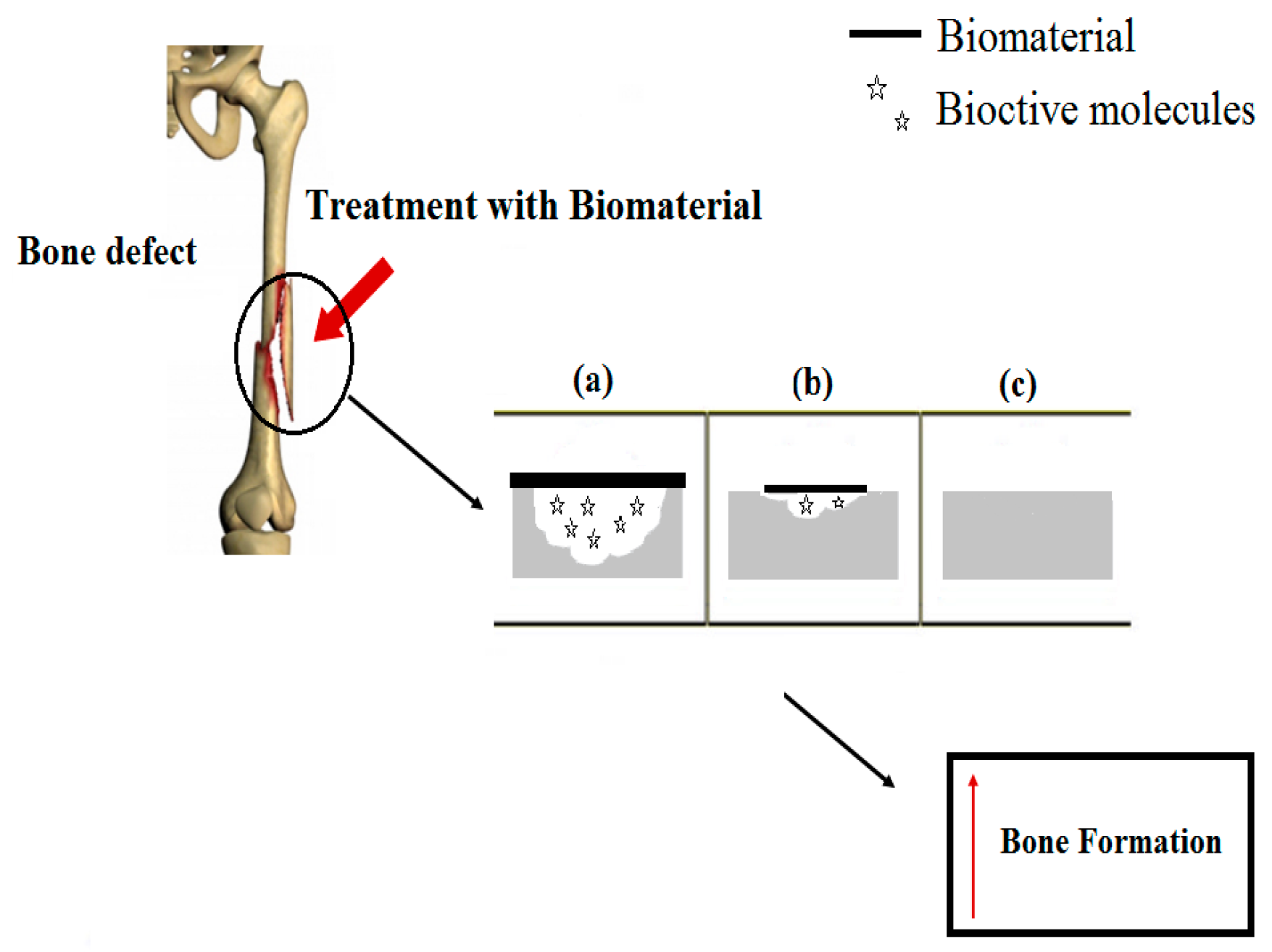 Polymers 08 00091 g004