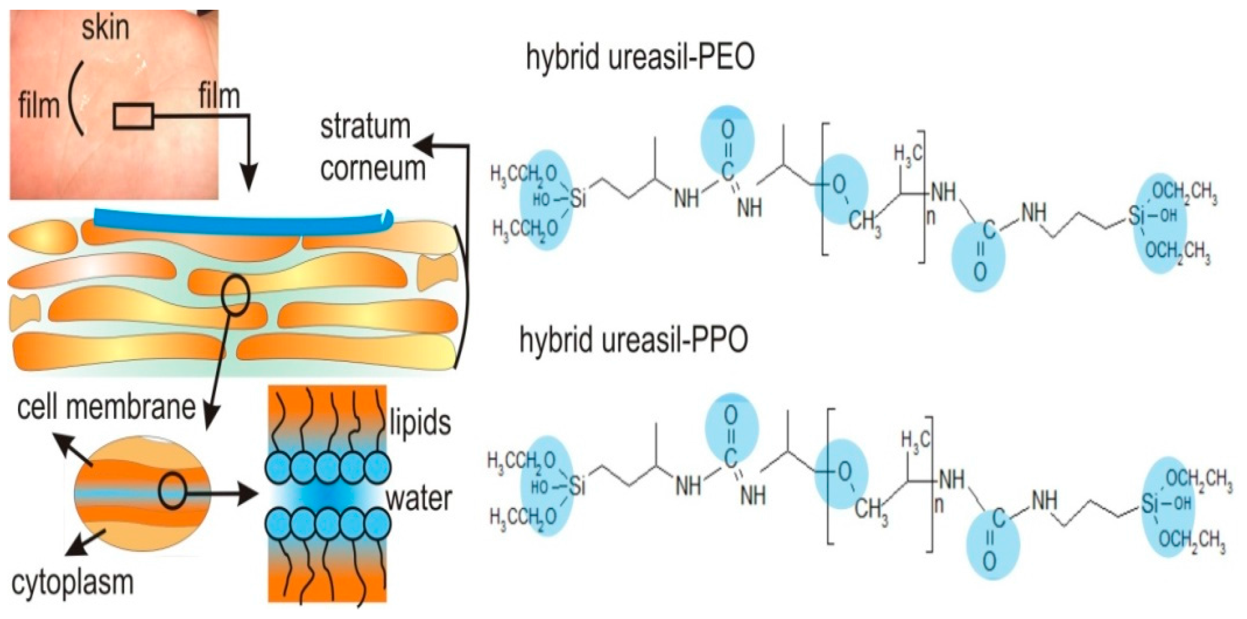 Polymers 08 00091 g005