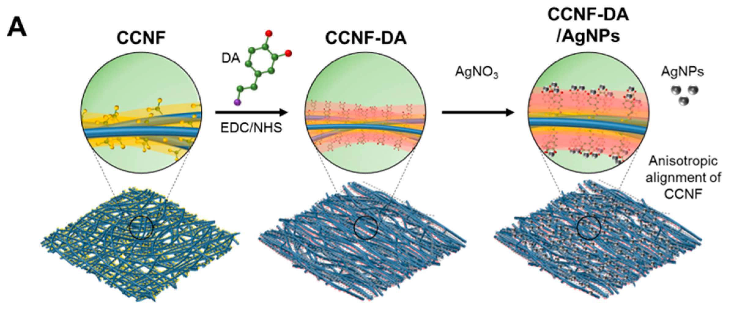 Polymers 08 00102 g001a