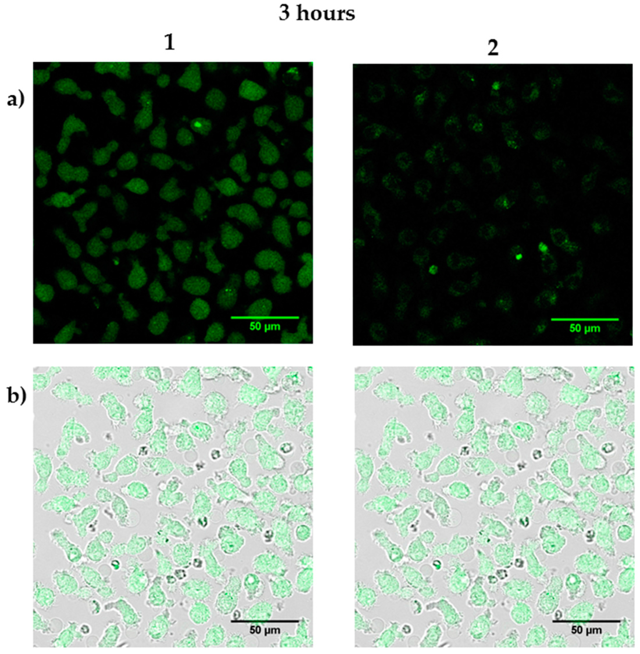 Polymers 08 00111 g011