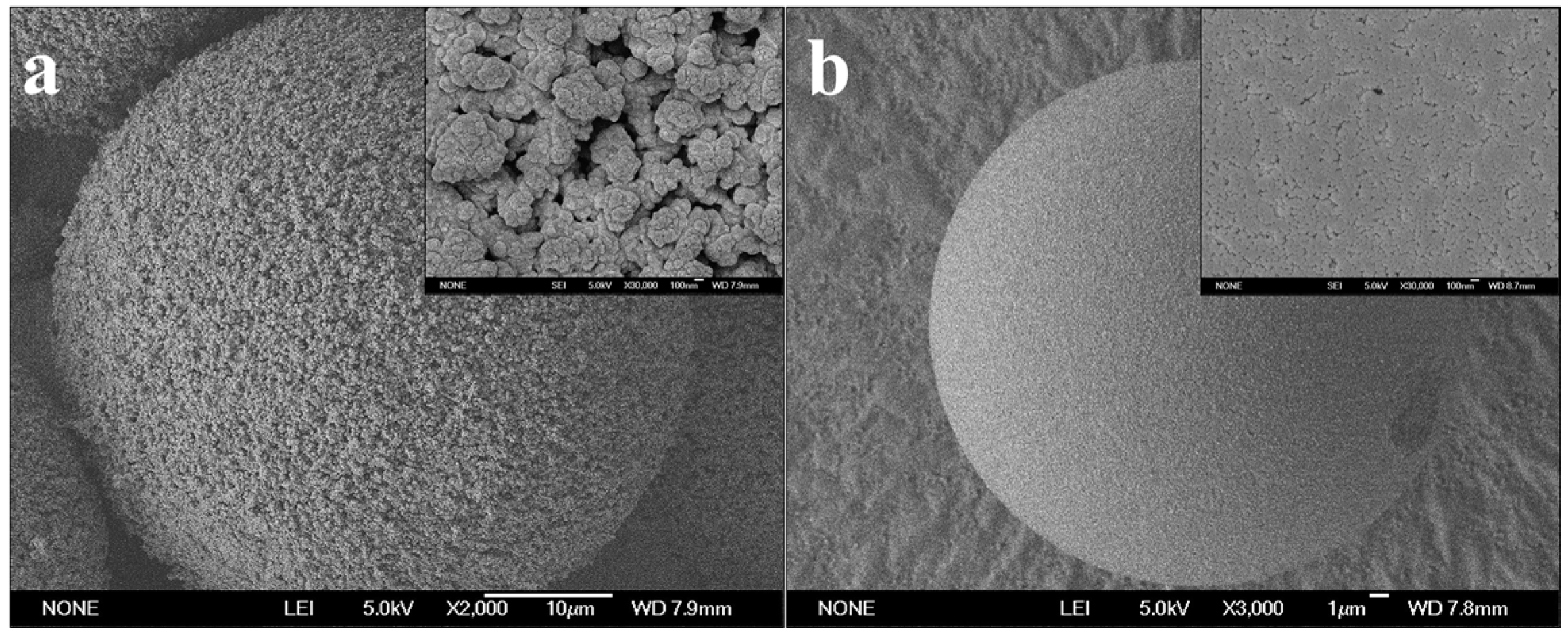 Polymers 08 00116 g001