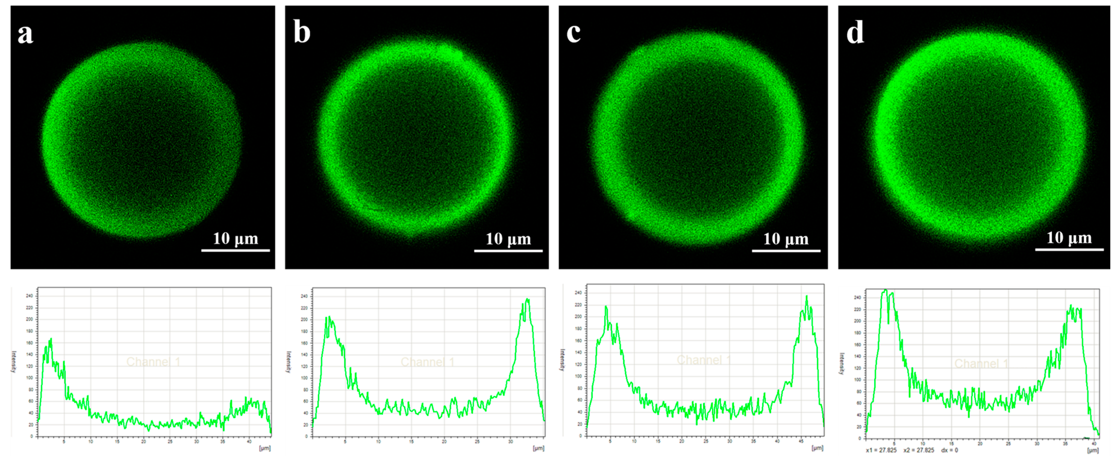 Polymers 08 00116 g005