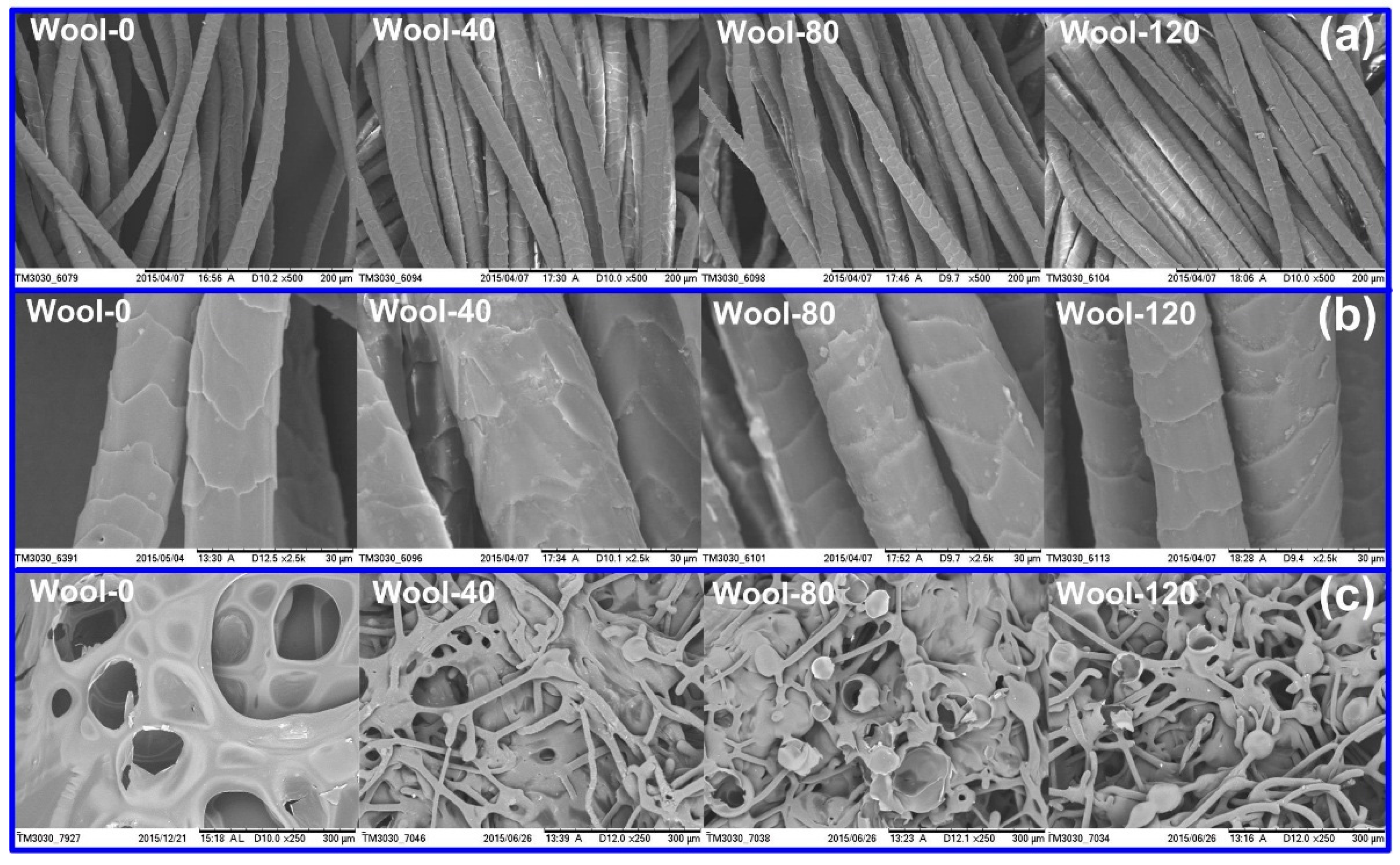 Polymers 08 00122 g010