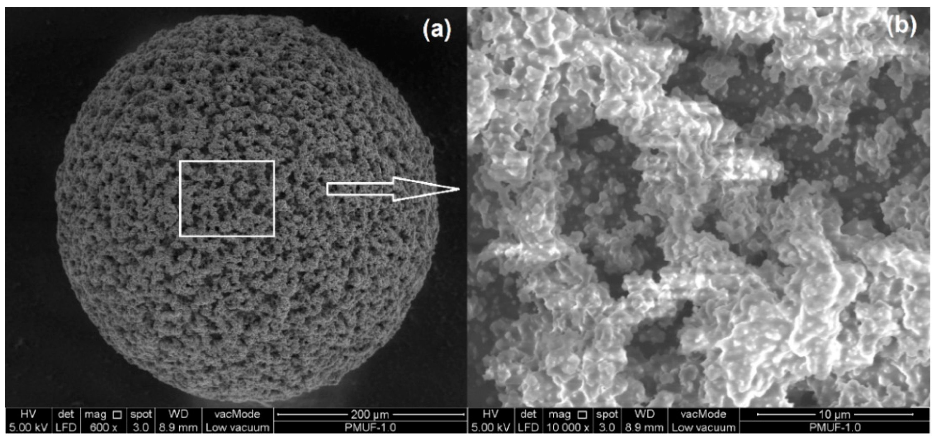 Polymers 08 00125 g011