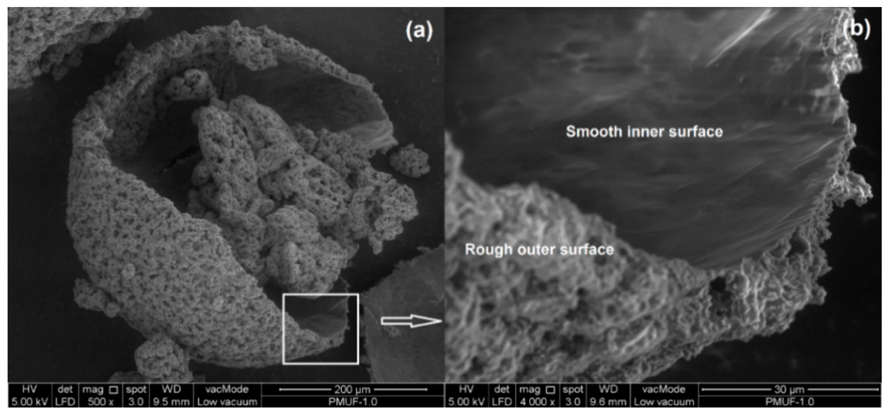 Polymers 08 00125 g012