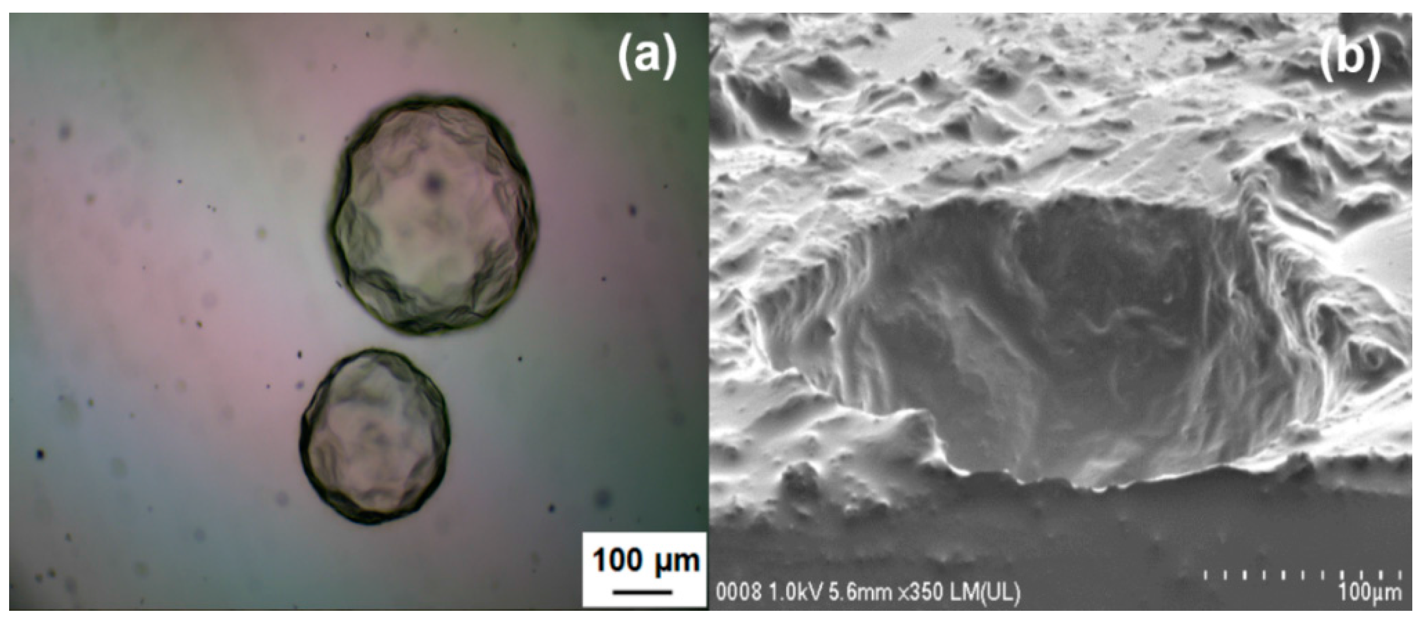 Polymers 08 00125 g013