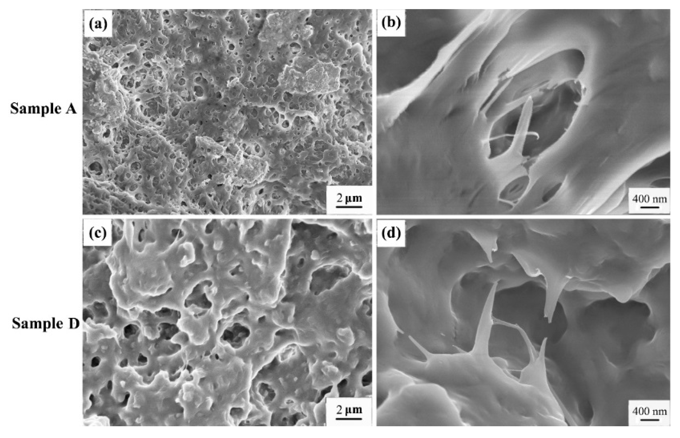 Polymers 08 00127 g008