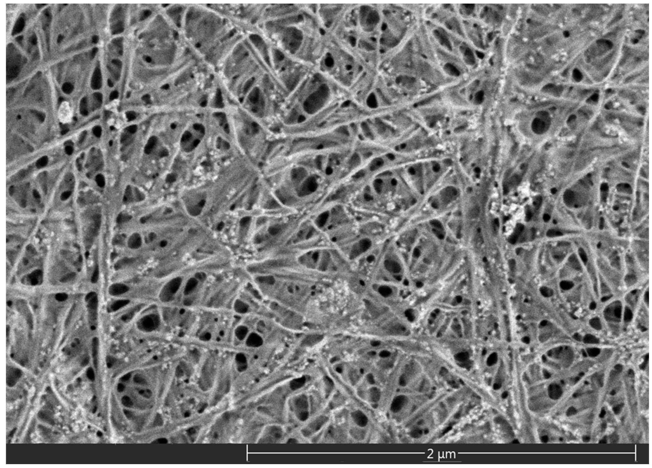 Polymers 08 00129 g001