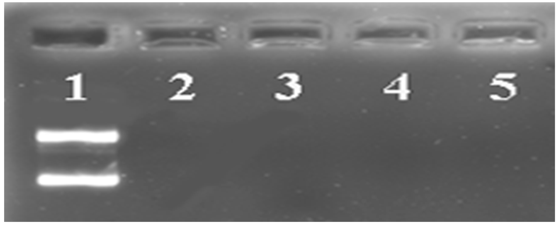 Polymers 08 00141 g004