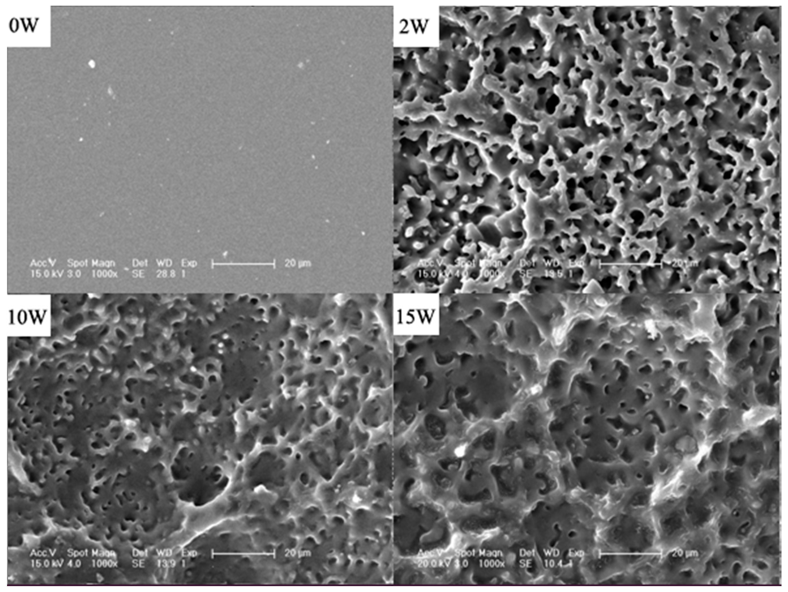 Polymers 08 00151 g005